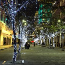 [은하수]500구 녹색선 LED 백색 지니전구(50M) (점멸)