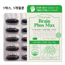 식약처 인증 포스파티딜세린 ps 뇌 영양제 300mg 캡슐 징코 대두 미국산 은행잎추출물 ncs 두뇌 건강 기억력 인지력 수험생 청소년 중년 노인 효능 추천 식약청 인정 제품, 1box 총 1개월분, 1box당 60캡슐