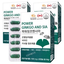 파워 징코앤시아 60캡슐X3개/은행잎추출물 혈행개선 아연 비타민DB, 36g, 3통