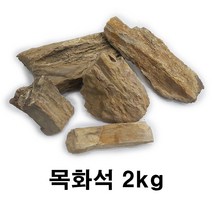 수족관 수석 목화석, 1개