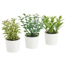 이케아 IKEA 인조식물+화분 3종 실내외겸용 허브 11cm