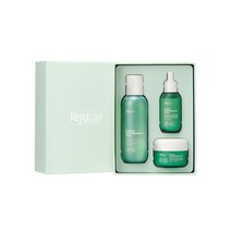 제주온 비건인증 큐테라 풋귤 3종세트 토너 세럼 크림, 단품