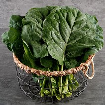 케일 녹즙용 2kg, 단품