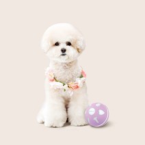 강아지 공 장난감 애견장난감 혼자놀기 앱코 오엘라 스마트 펫 자동 롤링볼 PP02, 단일수량