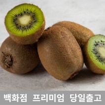 (특등급) 오늘출고 그린키위5KG 그린키위 키위효능, 상품선택, 5KG, 쿠팡 5KG, 쿠팡 본상품선택