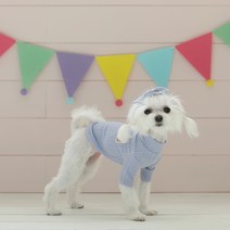 초코디 강아지 티셔츠 초코티, 블루베리