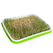 새싹 포트 모판 모종판 육묘 모종 트레이 텃밭 가꾸기 가정용 식물 재배기 모종 씨앗 받침대 플라스틱 원예 부자재 용품 수경 재배 재배기 키트 화분 받침 받침판