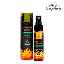 굿데이허니 안티더스트 프로폴리스 스프레이 30ml 1개 미세먼지 스프레이