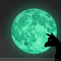 인테리어 야광 달 데코스티커
