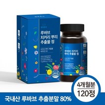 웰빙곳간 루바브 치커리 뿌리 추출물 정 120정 4개월분 (식약처인증 HACCP인증), 1개