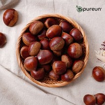 [이푸른] 국산 청양밤 4kg(대사이즈)/180알 내외, 상세페이지 참조, 상세페이지 참조, 상세페이지 참조
