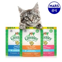 그리니즈 필라인 고양이 마약간식 이빨과자 130g, 2개, 연어