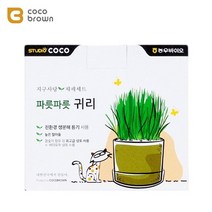 냥이 헤어볼 케어 귀리풀 재배 세트 개다래나무 캣닢, 기본, 기본