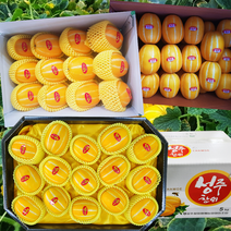 출시 성주참외 3kg 5kg 10kg 프리미엄 정품, 대과(28~36과), 1개