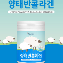 호주산 양태반 분말 뷰티 플라센타 콜라겐 단백질 히스티딘 메티오닌 미녀 콜라겐 글리신 피부탄력 필수 아미노산 영양제, 1개, 230g