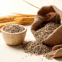 이제주몰 담은제주 컬러보리 500gx3개 총 1.5kg, 단품없음