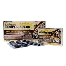 네이쳐스그린웨이 호주 프로폴리스 호주산 초고함량 고농축 5000mg 120캡슐 (4개월분), 120개