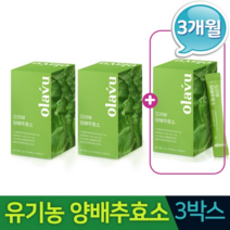 유기농 양배추효소 탄수화물분해효소 단백질분해효소 30포x3박스