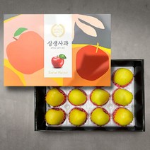 [더조은] 실속 시나노골드 선물세트 5kg (12과), 단품