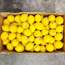 야채24닷컴 레몬 20개 2kg, 1개