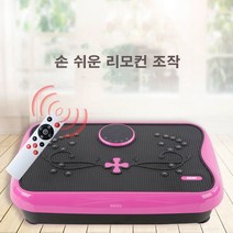 진동운동기 밸런스 두스룬 저소음 덜덜이 전신 밸런스 유산소 근력 실내 홈트, 꽂무늬H1