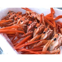 산지직송 동해안 포항 구룡포 자숙홍게 살이탱탱 수율높음 라면별미, 고급 A급 = 수율 85%내외, 1개
