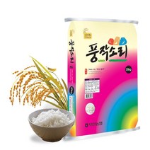 풍작소리 2021년 햅쌀 쌀통령 부안농협 쌀 20kg, 1포