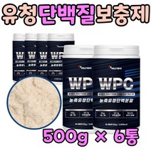 50대 남자 먹는 헬스 운동 후 근육 단백질 보충제 성인 어른 프로틴단백질 BCA A 유청단백질 담백질 파우더 근육량늘리기 살찌우는법 류신 시니어 노인 남성 여성 선물용 대용량