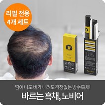 [노비어 리필] 바르는 흑채 남성 여성 정수리 탈모커버 워터프루프, 4개, 리필