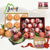 [산지애] 왕특대 사과 3.5kg + 왕특대 배 4.7kg, 단품