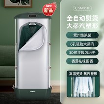 의류 다리미 가정용 스탠스 스팀 수직 무선 의류 매장 전용, TJ-SM861E green_EU