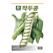 작두콩 100립 작두콩씨 작두콩종자 작두콩씨앗