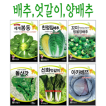 주주씨앗 배추 엇갈이 양배추 김장배추 쌈배추 배추씨앗 배추씨 김장용씨앗 김장용채소 파씨앗 김장, 10. 돌산갓 500g