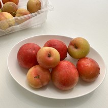 5월부터 새콤달콤한 하우스 대석자두, 1kg, 1개
