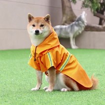 강아지우비 일체형 소형 중형 대형견 반려견비옷 장마에도 산책가자, 오렌지
