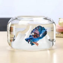베타물고기 구피 해수어 금붕어키우기 미니 물고기 Rockery 그릇 유리 수족관 탱크 새우 금붕어 작은 Betta