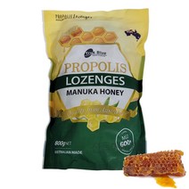 트루블루 프로폴리스 마누카 허니 캔디, 1봉, 800g