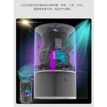 독일 공기청정기 가정용공기청정기 내부공기정화, B801에 장착 PM2.5 및 자외선 없음