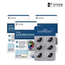 [한미양행] 루테인 비타민 밀크씨슬 外, 단일속성