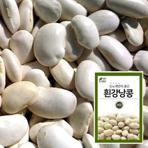 마이플랜트 흰강낭콩 씨앗 채소 야채 텃밭