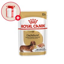 닥스훈트 어덜트 강아지파우치 1박스 (85g x12개), 기본