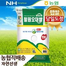 농협 산지직송 철원 오대쌀 4kg 당일도정 자연선생, 1개, 1개