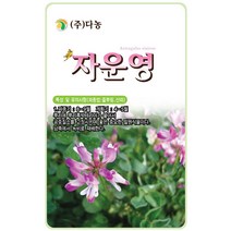 꽃양귀비 1g - 야생화 씨앗 꽃씨 씨 꽃씨앗 양귀비 개양귀비 다년생꽃씨 여러해살이 야생화씨 야생화씨앗 꽃, 33_다농_자운영(2g)