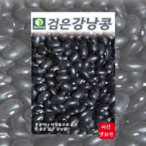 검은강낭콩 씨앗 /홈가드닝 검은콩 종자 30G 비넝쿨성