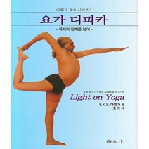 요가 디피카 - 아헹가 요가 시리즈 (1) 육체의 한계를 넘어