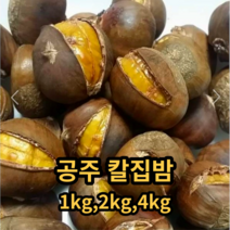 국내산 공주 칼질밤 칼집약단밤 공주햇밤 공주알밤 대사이즈1kg 2kg 4kg, 대사이즈 3kg