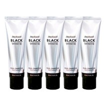 닥터이엘 블랙화이트 미백 숯치약, 120g, 5개
