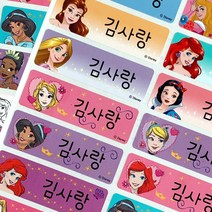 네임코코 캐릭터 방수 네임스티커 디즈니 헬로키티, 827-대형디즈니공주