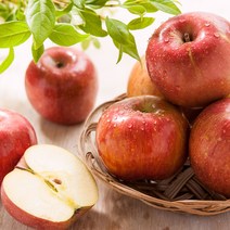 밀양 얼음골 사과 4.5kg(23-27과/소과)