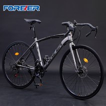 경량 입문로드자전거 성인 출퇴근 입문용 사이클, (30단) 실버